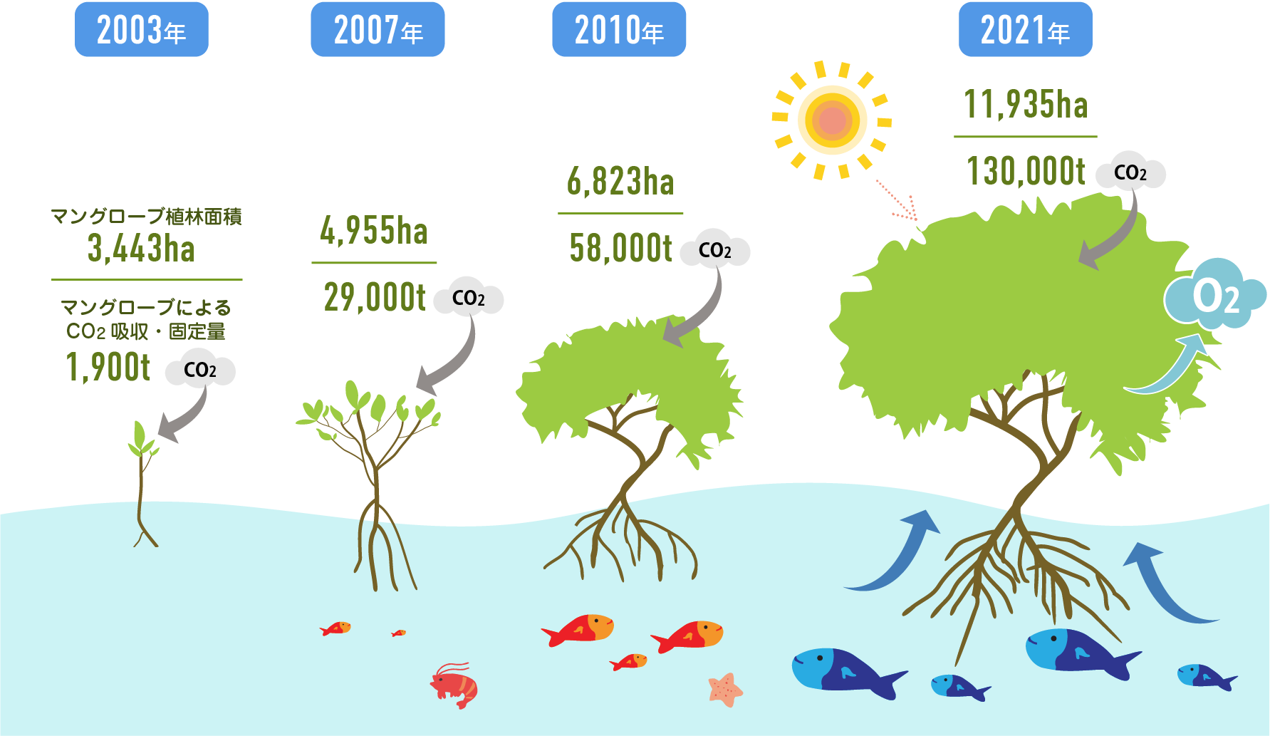 マングローブ植樹活動の成長